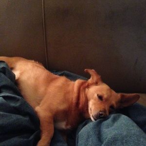 Meet your Posher, Jack